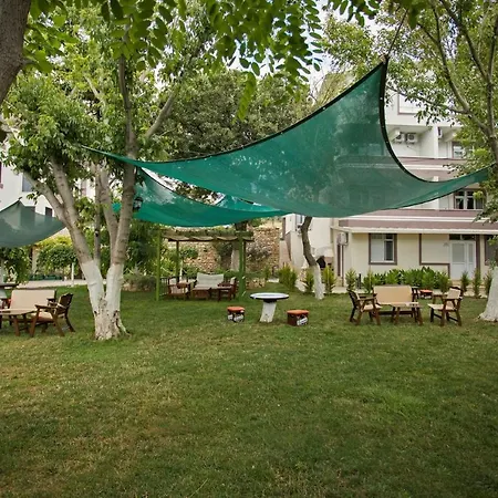 Troas Tavakli