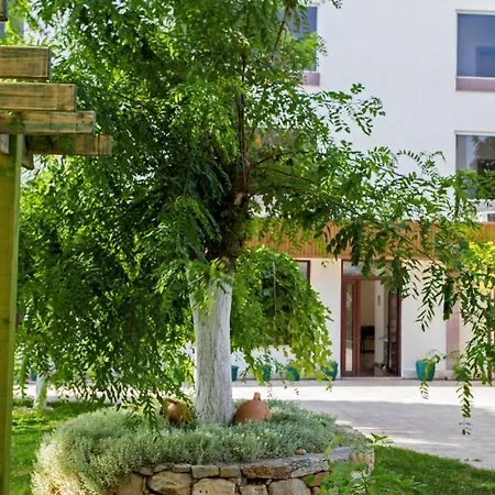 Troas Tavaklı